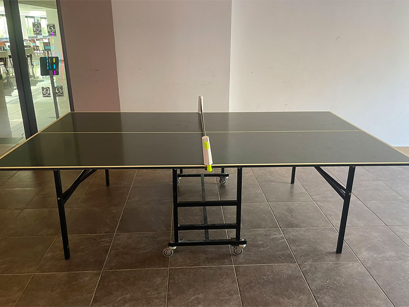 Table tennis area